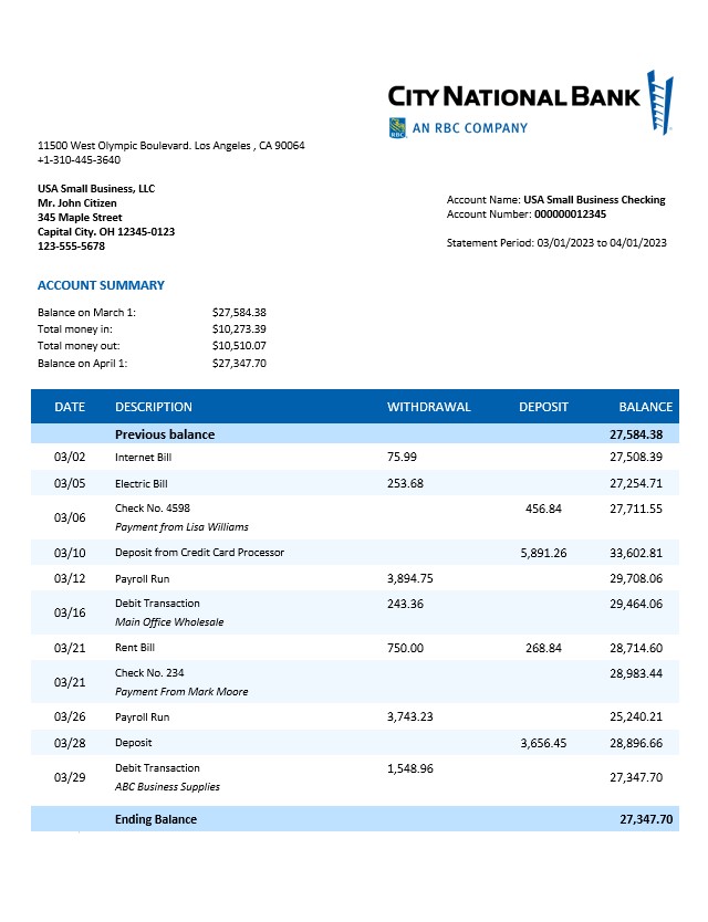 Déclaration d'organisation de la City National Bank Modèle Word et PDF